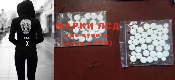 прущие грибы Киренск
