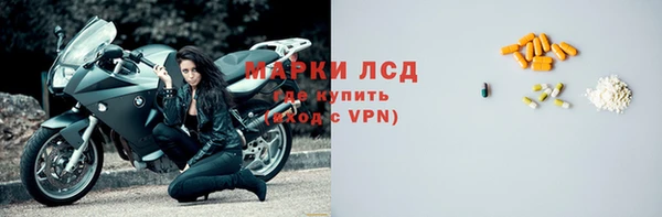 прущие грибы Киренск