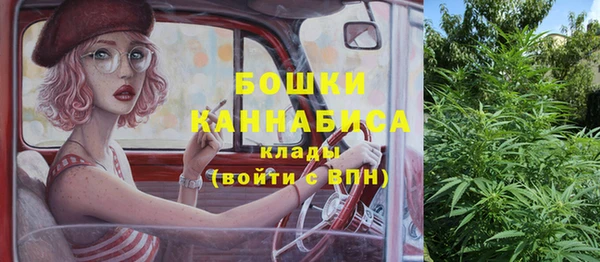 прущие грибы Киренск