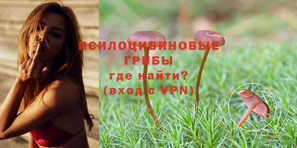 apvp Киреевск